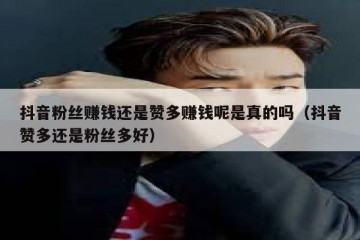 抖音粉丝赚钱还是赞多赚钱呢是真的吗（抖音赞多还是粉丝多好）