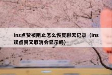 ins点赞被阻止怎么恢复聊天记录（ins误点赞又取消会显示吗）