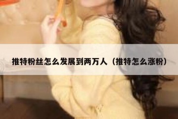 推特粉丝怎么发展到两万人（推特怎么涨粉）