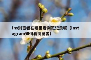 ins浏览者在哪里看浏览记录呢（instagram如何看浏览者）