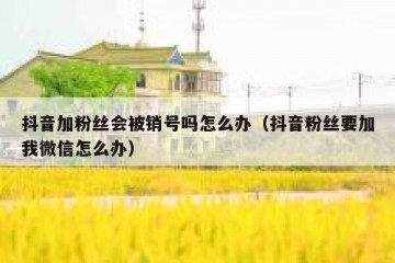 抖音加粉丝会被销号吗怎么办（抖音粉丝要加我微信怎么办）