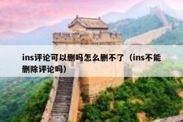 ins评论可以删吗怎么删不了（ins不能删除评论吗）