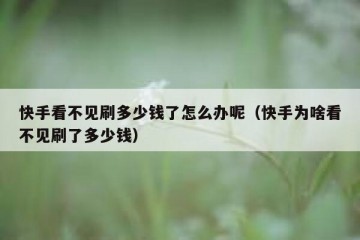 快手看不见刷多少钱了怎么办呢（快手为啥看不见刷了多少钱）