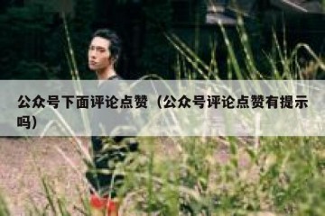 公众号下面评论点赞（公众号评论点赞有提示吗）