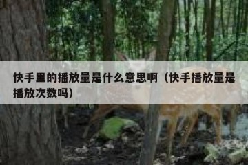 快手里的播放量是什么意思啊（快手播放量是播放次数吗）
