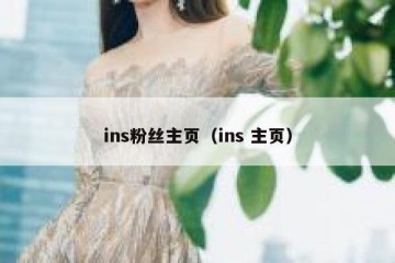 ins粉丝主页（ins 主页）
