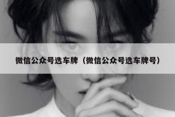 微信公众号选车牌（微信公众号选车牌号）