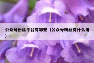 公众号粉丝平台有哪些（公众号粉丝有什么用）