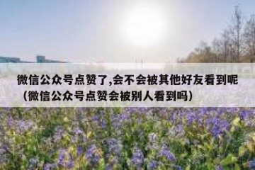微信公众号点赞了,会不会被其他好友看到呢（微信公众号点赞会被别人看到吗）