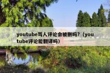 youtube骂人评论会被删吗?（youtube评论能翻译吗）