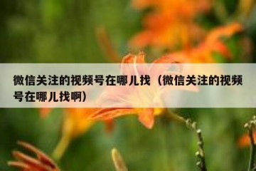 微信关注的视频号在哪儿找（微信关注的视频号在哪儿找啊）