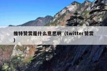推特赞赏是什么意思啊（twitter赞赏）