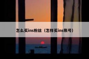怎么买ins粉丝（怎样买ins账号）