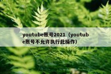 youtube账号2021（youtube账号不允许执行此操作）