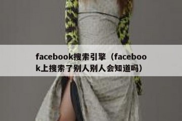 facebook搜索引擎（facebook上搜索了别人别人会知道吗）