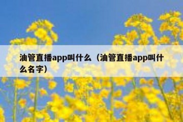油管直播app叫什么（油管直播app叫什么名字）