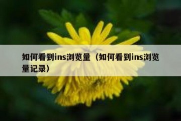 如何看到ins浏览量（如何看到ins浏览量记录）