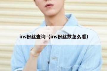 ins粉丝查询（ins粉丝数怎么看）