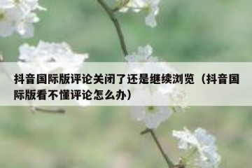 抖音国际版评论关闭了还是继续浏览（抖音国际版看不懂评论怎么办）