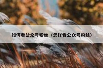 如何看公众号粉丝（怎样看公众号粉丝）