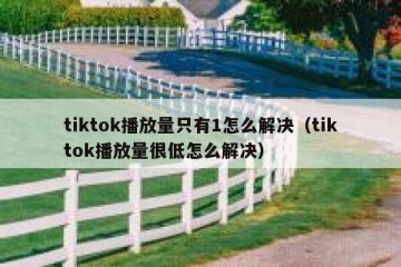 tiktok播放量只有1怎么解决（tiktok播放量很低怎么解决）