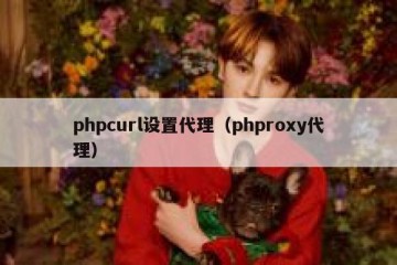 phpcurl设置代理（phproxy代理）