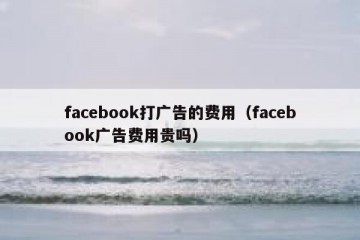 facebook打广告的费用（facebook广告费用贵吗）