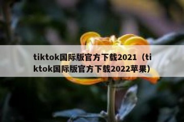 tiktok国际版官方下载2021（tiktok国际版官方下载2022苹果）