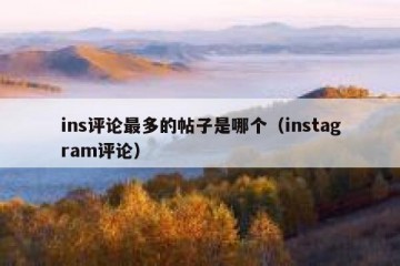 ins评论最多的帖子是哪个（instagram评论）