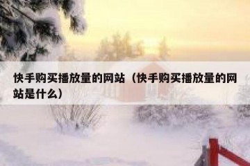 快手购买播放量的网站（快手购买播放量的网站是什么）