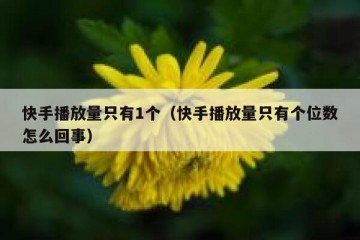 快手播放量只有1个（快手播放量只有个位数怎么回事）