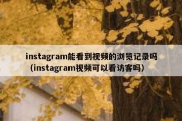 instagram能看到视频的浏览记录吗（instagram视频可以看访客吗）