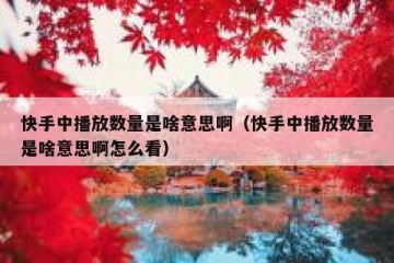 快手中播放数量是啥意思啊（快手中播放数量是啥意思啊怎么看）