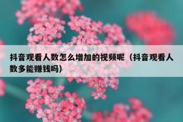 抖音观看人数怎么增加的视频呢（抖音观看人数多能赚钱吗）
