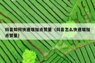 抖音如何快速增加点赞量（抖音怎么快速增加点赞量）