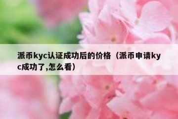派币kyc认证成功后的价格（派币申请kyc成功了,怎么看）