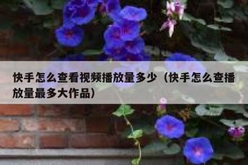 快手怎么查看视频播放量多少（快手怎么查播放量最多大作品）