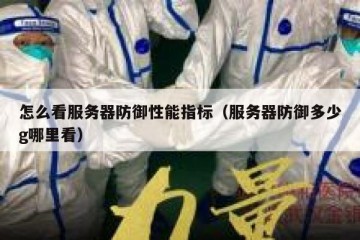 怎么看服务器防御性能指标（服务器防御多少g哪里看）