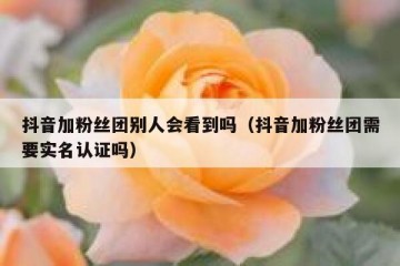 抖音加粉丝团别人会看到吗（抖音加粉丝团需要实名认证吗）