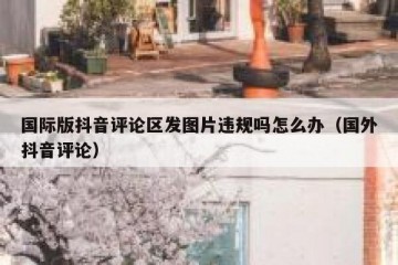 国际版抖音评论区发图片违规吗怎么办（国外抖音评论）
