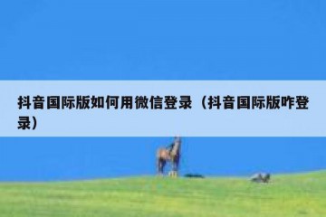 抖音国际版如何用微信登录（抖音国际版咋登录）