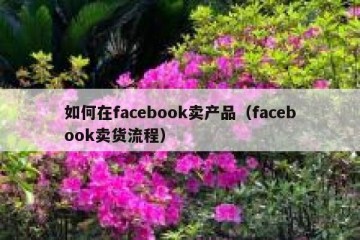 如何在facebook卖产品（facebook卖货流程）
