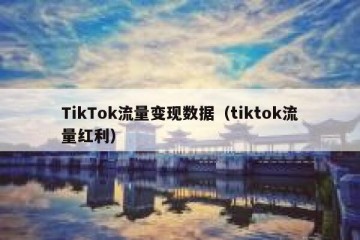 TikTok流量变现数据（tiktok流量红利）