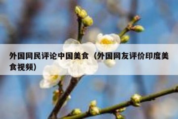 外国网民评论中国美食（外国网友评价印度美食视频）