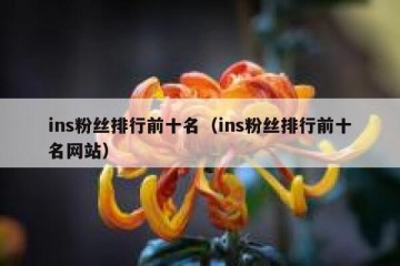 ins粉丝排行前十名（ins粉丝排行前十名网站）