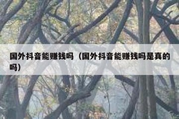 国外抖音能赚钱吗（国外抖音能赚钱吗是真的吗）