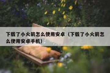 下载了小火箭怎么使用安卓（下载了小火箭怎么使用安卓手机）