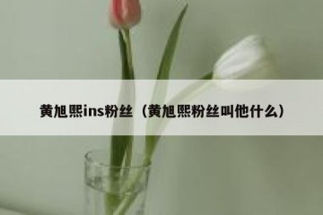黄旭熙ins粉丝（黄旭熙粉丝叫他什么）