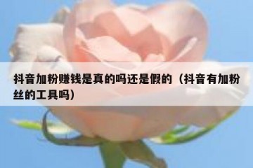 抖音加粉赚钱是真的吗还是假的（抖音有加粉丝的工具吗）
