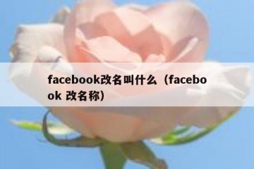 facebook改名叫什么（facebook 改名称）